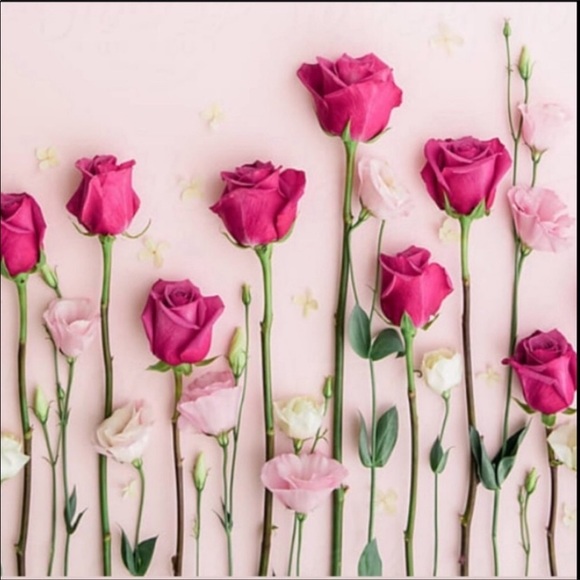 Meet your Posher, Lisa - Picture 9 of 13